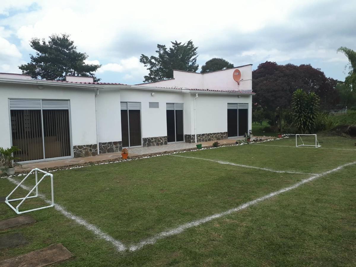 Cancha de minifútbol para niños con líneas marcadas y dos arcos