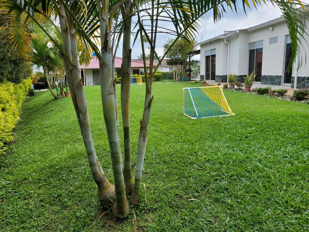Cancha de minifútbol entre palmas