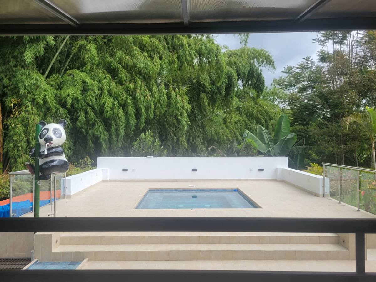 Vista del jacuzzi entre el bambú