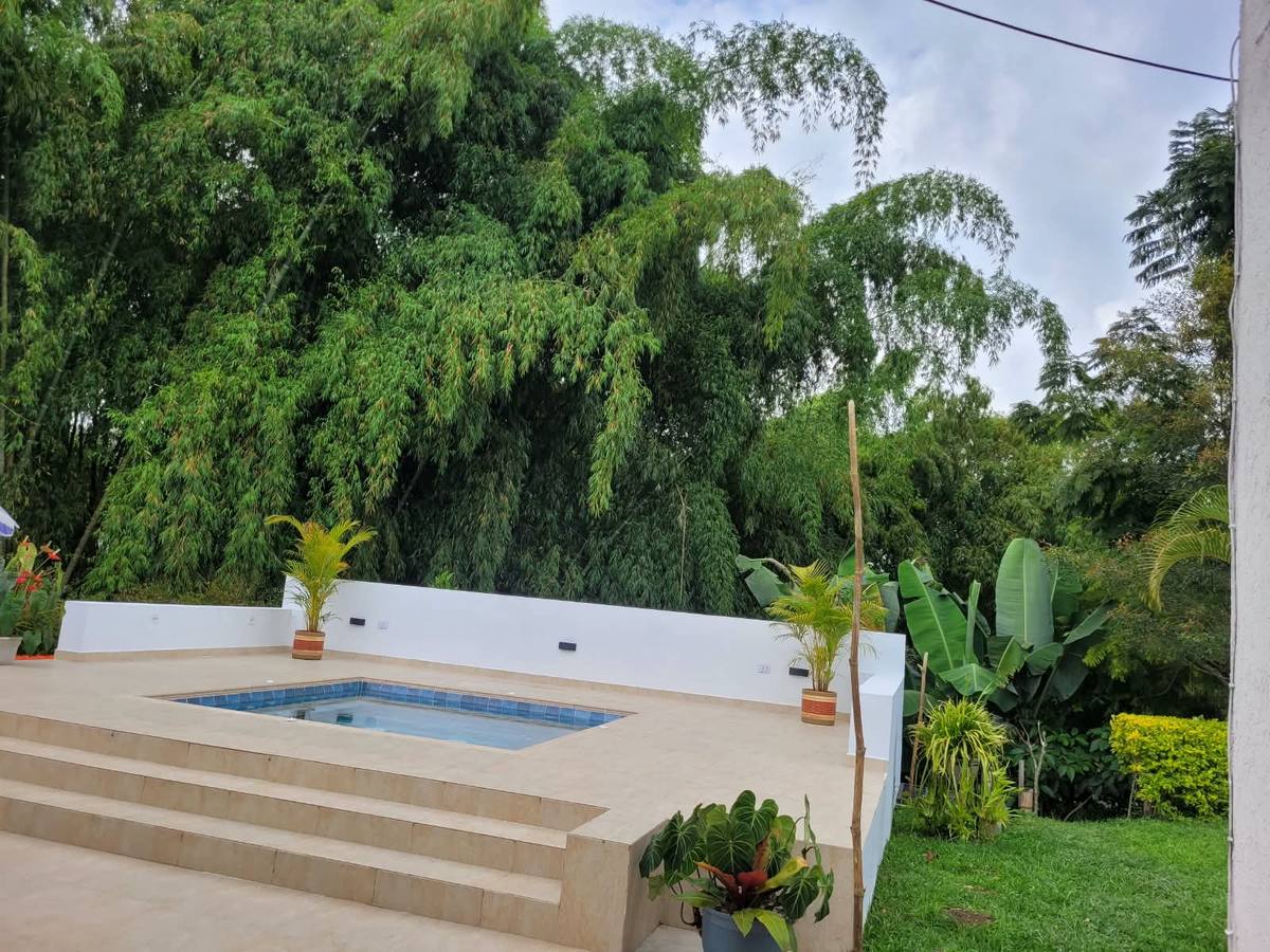 Jacuzzi rodeado de bambú