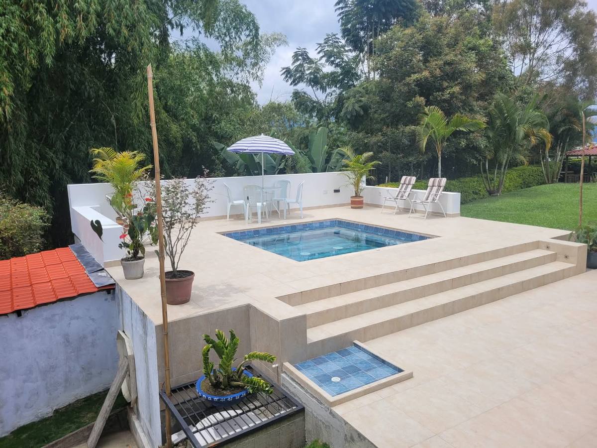 Jacuzzi con escalinata y sombrilla rodeado de bambú